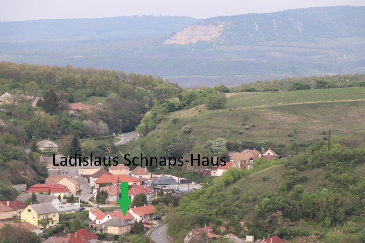 Ladislaus Schnaps-Haus Falusi Vendeghaz Csolnok エクステリア 写真
